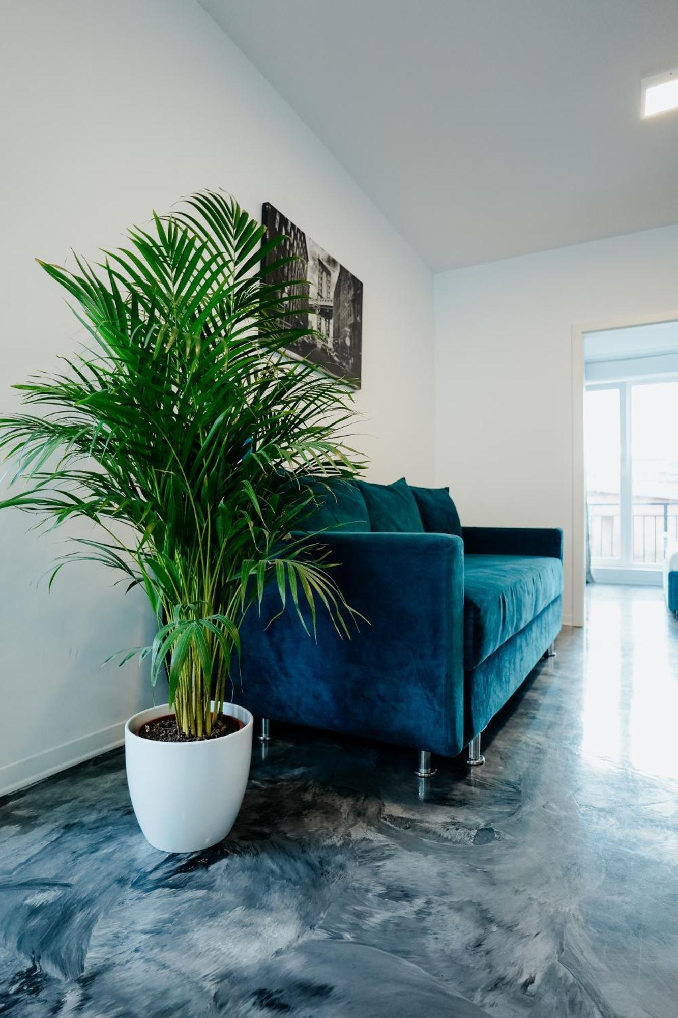 Andrew Apartaments Клуж-Напока Экстерьер фото