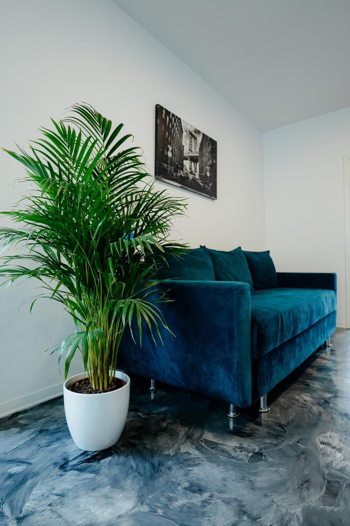 Andrew Apartaments Клуж-Напока Экстерьер фото