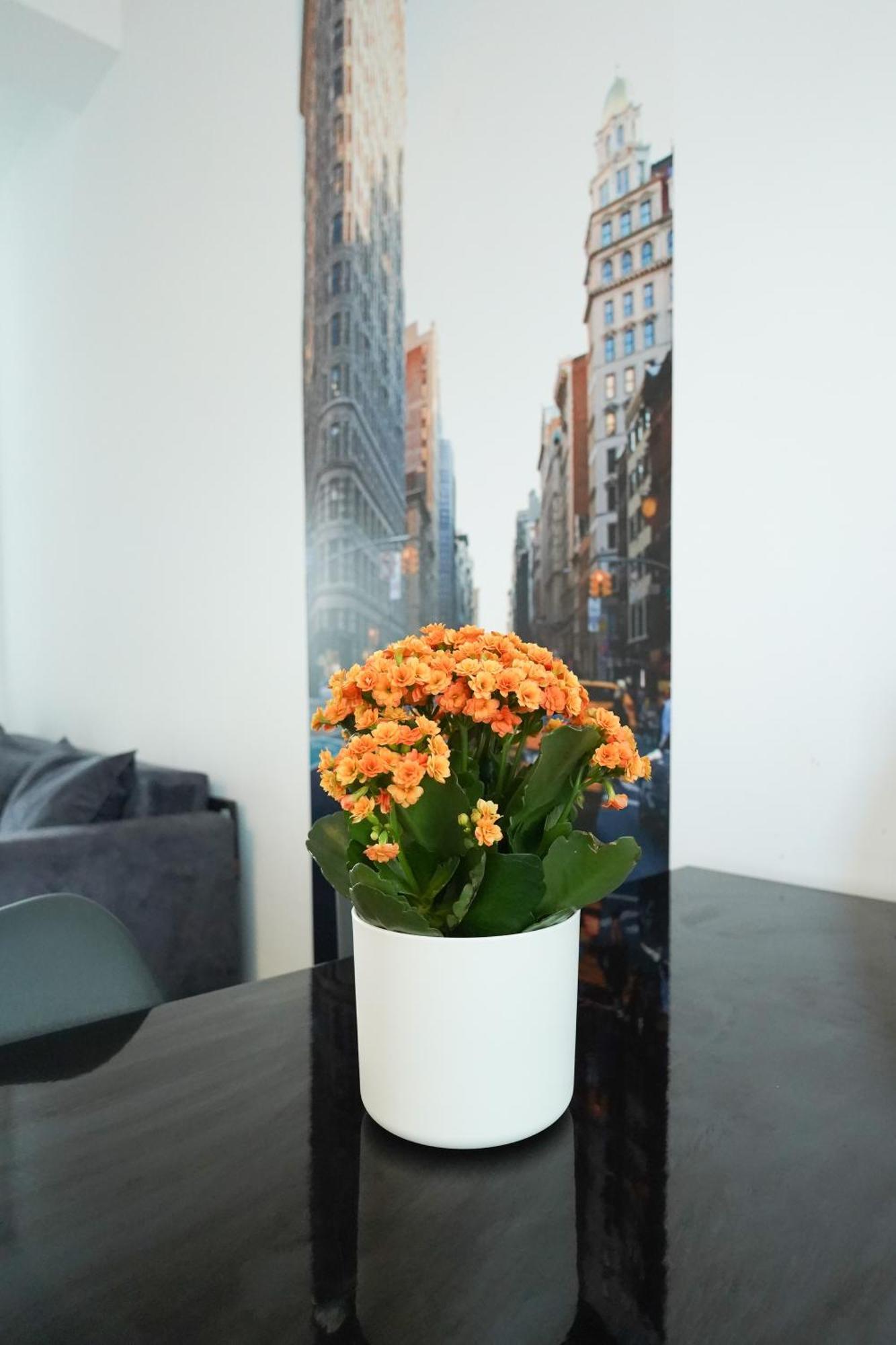 Andrew Apartaments Клуж-Напока Экстерьер фото