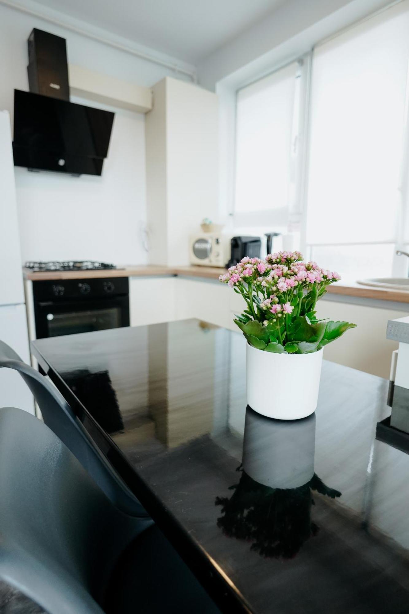 Andrew Apartaments Клуж-Напока Экстерьер фото